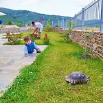 Panorama 4*